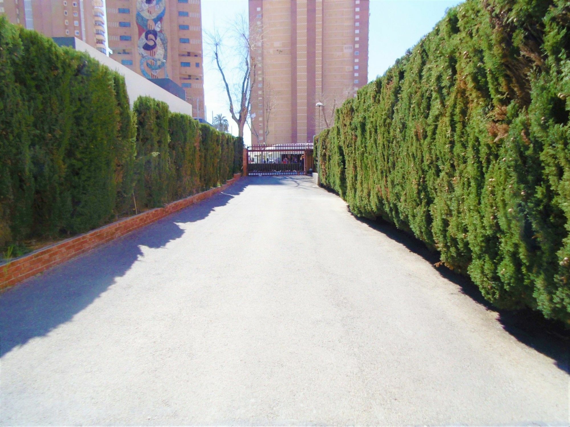 Edimar 2-3 Apartment Levante Beach 貝尼多姆 外观 照片